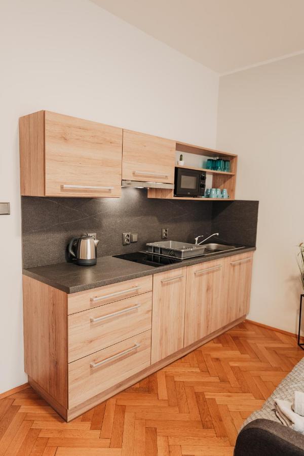 Elegant Studio, 400M From The Square Lägenhet Plzeň Exteriör bild